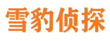 普陀区市私家侦探